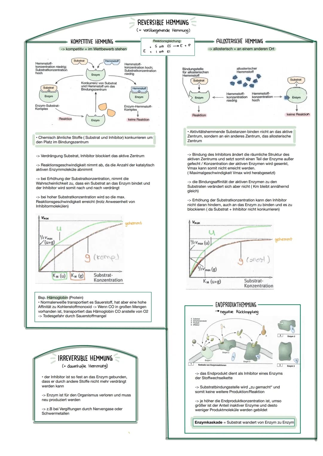 Enzym + Substrat
E
S
Maltose
Substrat
Enzym
Melose
Maltose
• Enzyme sind substratspezifisch
-> d.h sie binden nur das für sie
passende Subst