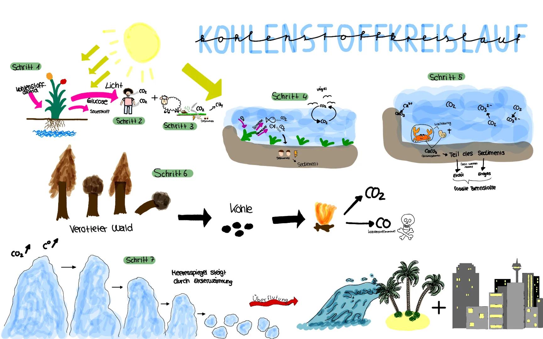 Schritt 1
Wohlenstoff.
Licht
cong cong
Glucose
Sauerstoff
CO₂
CO₂
Schritt 2
+
Schritt 6
fit=
Verotteter Wald
Schritt
Schritt 3
KONCENSTOFFKR