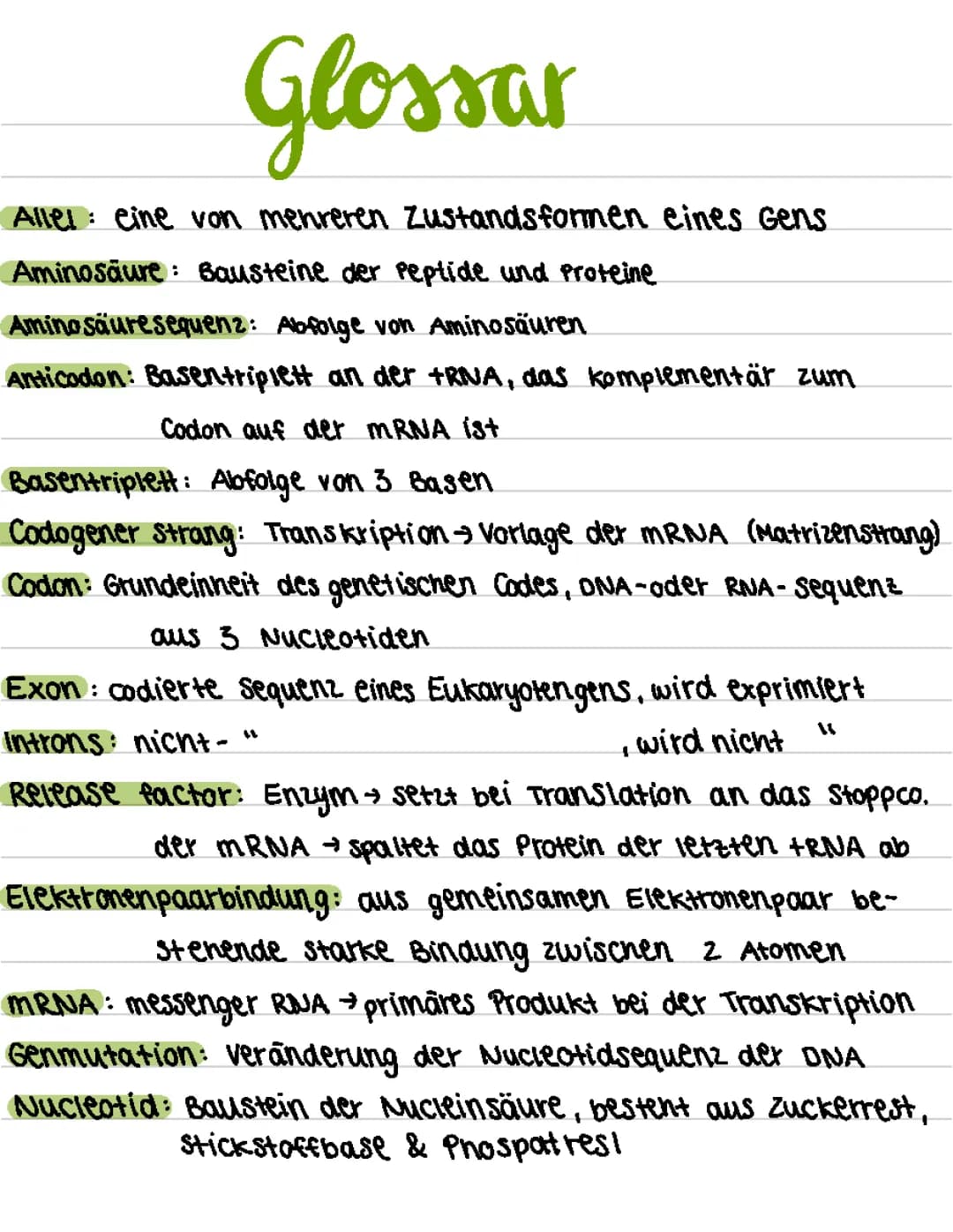 Transkription und Translation in der Biologie einfach erklärt