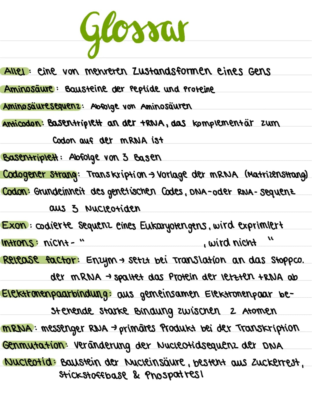 Glossar
Allel: eine von mehreren Zustandsformen eines Gens
Aminosäure: Bausteine der Peptide und Proteine
Aminosäure sequenz: Abfolge von Am