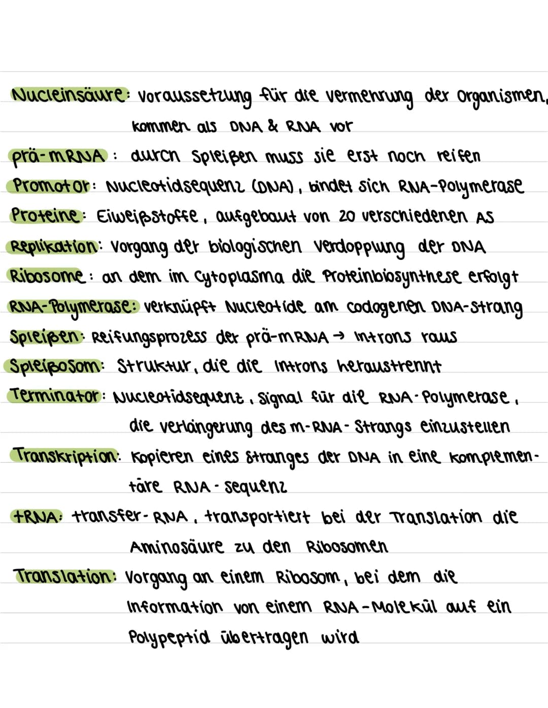 Glossar
Allel: eine von mehreren Zustandsformen eines Gens
Aminosäure: Bausteine der Peptide und Proteine
Aminosäure sequenz: Abfolge von Am