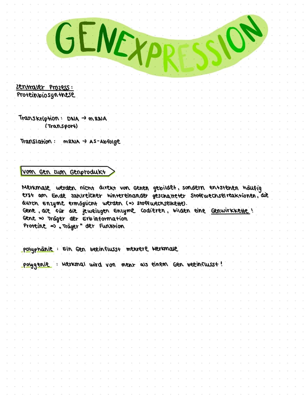 Glossar
Allel: eine von mehreren Zustandsformen eines Gens
Aminosäure: Bausteine der Peptide und Proteine
Aminosäure sequenz: Abfolge von Am