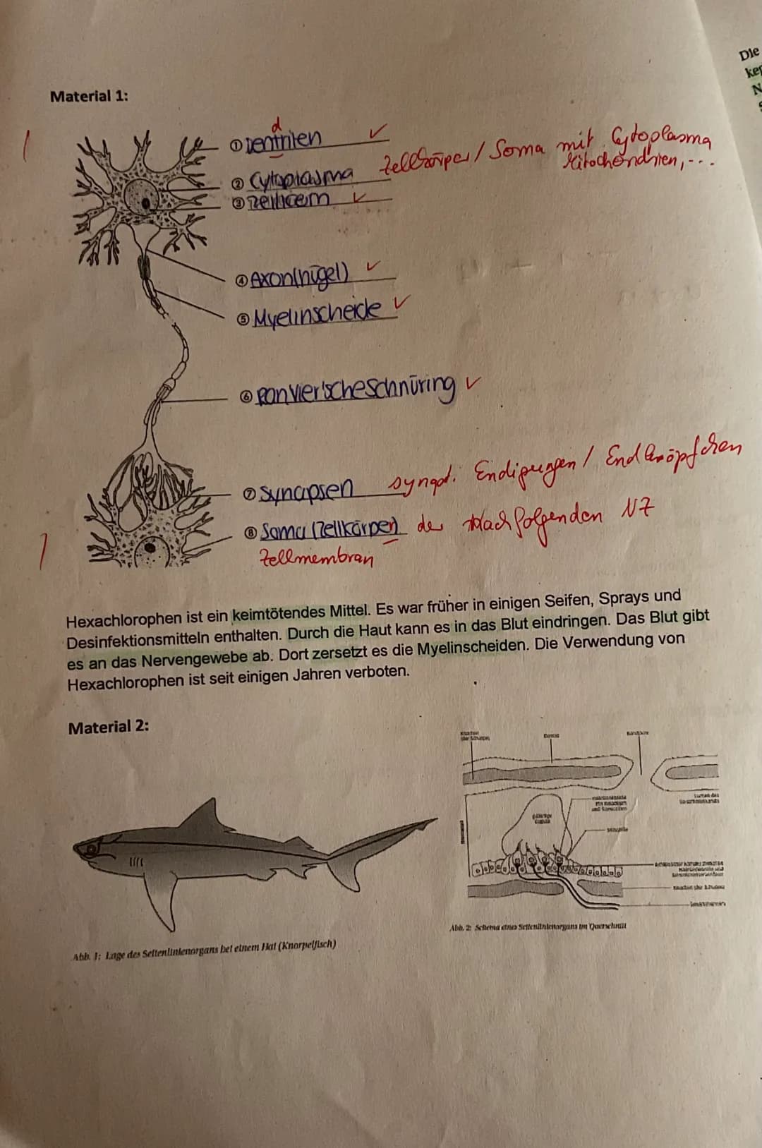 0
Q3 LK Bio/Hols Verhaltensbiologie Nr.1
Nan
1
2
3
0=8₁13
4
5
4
6
7
8
Aufgabe 1: Bau einer Nervenzelle (M1)
a. Beschriften Sie die Nervenzel