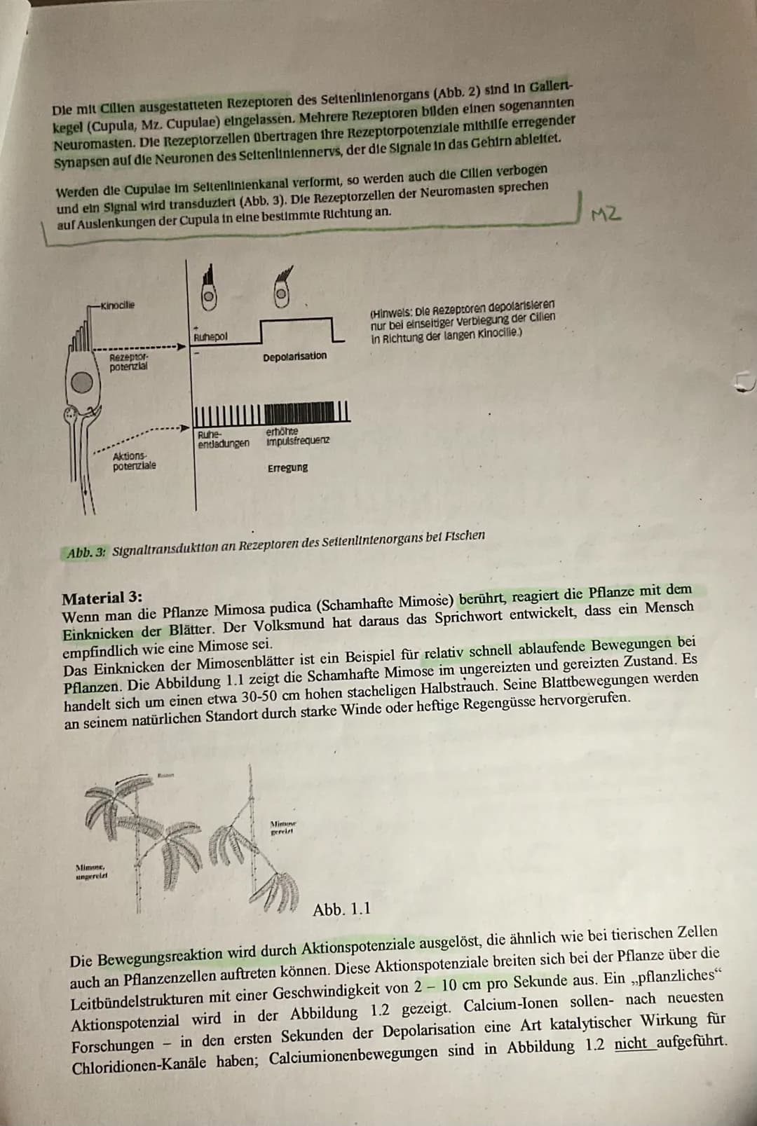 0
Q3 LK Bio/Hols Verhaltensbiologie Nr.1
Nan
1
2
3
0=8₁13
4
5
4
6
7
8
Aufgabe 1: Bau einer Nervenzelle (M1)
a. Beschriften Sie die Nervenzel