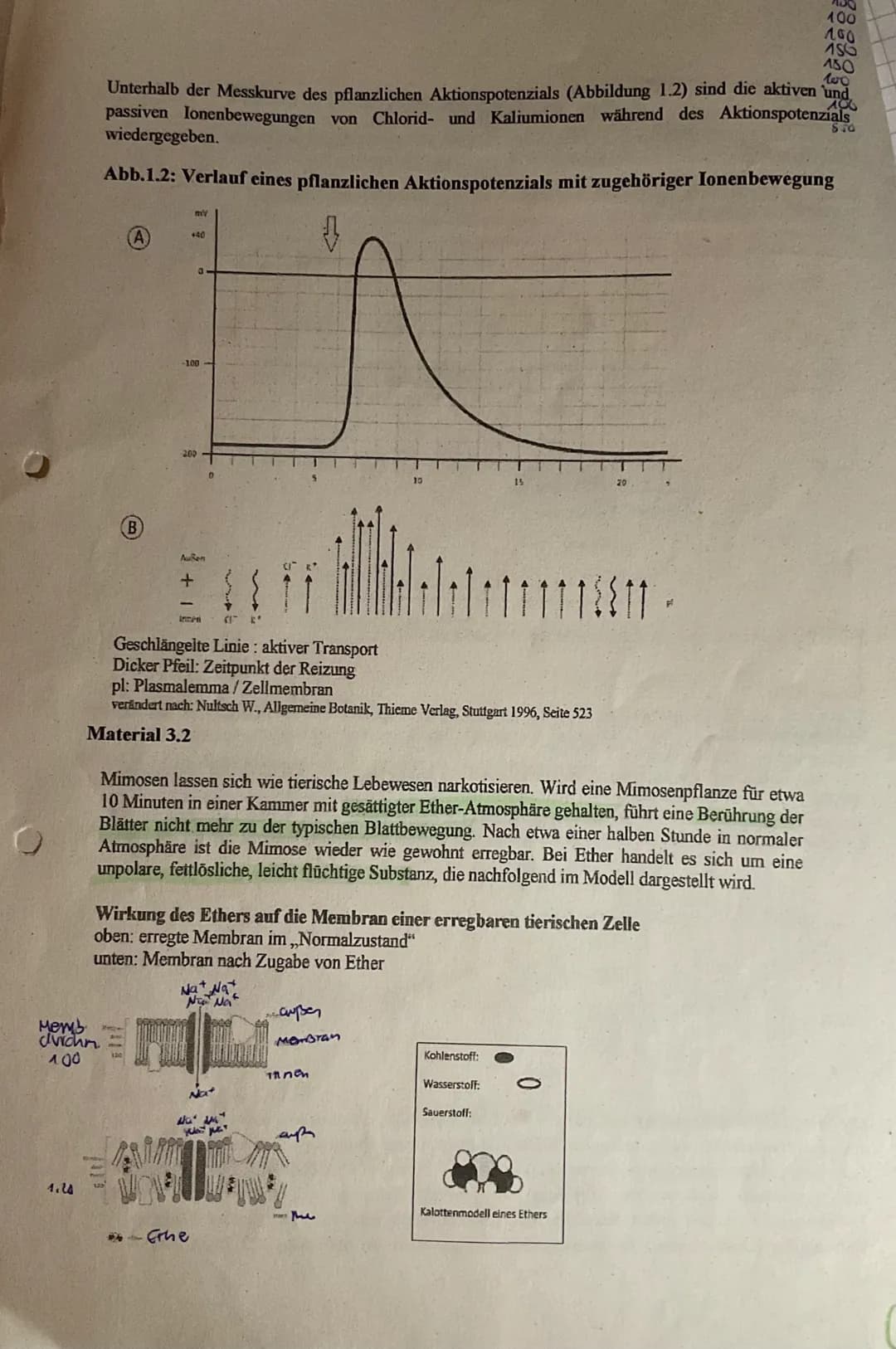 0
Q3 LK Bio/Hols Verhaltensbiologie Nr.1
Nan
1
2
3
0=8₁13
4
5
4
6
7
8
Aufgabe 1: Bau einer Nervenzelle (M1)
a. Beschriften Sie die Nervenzel