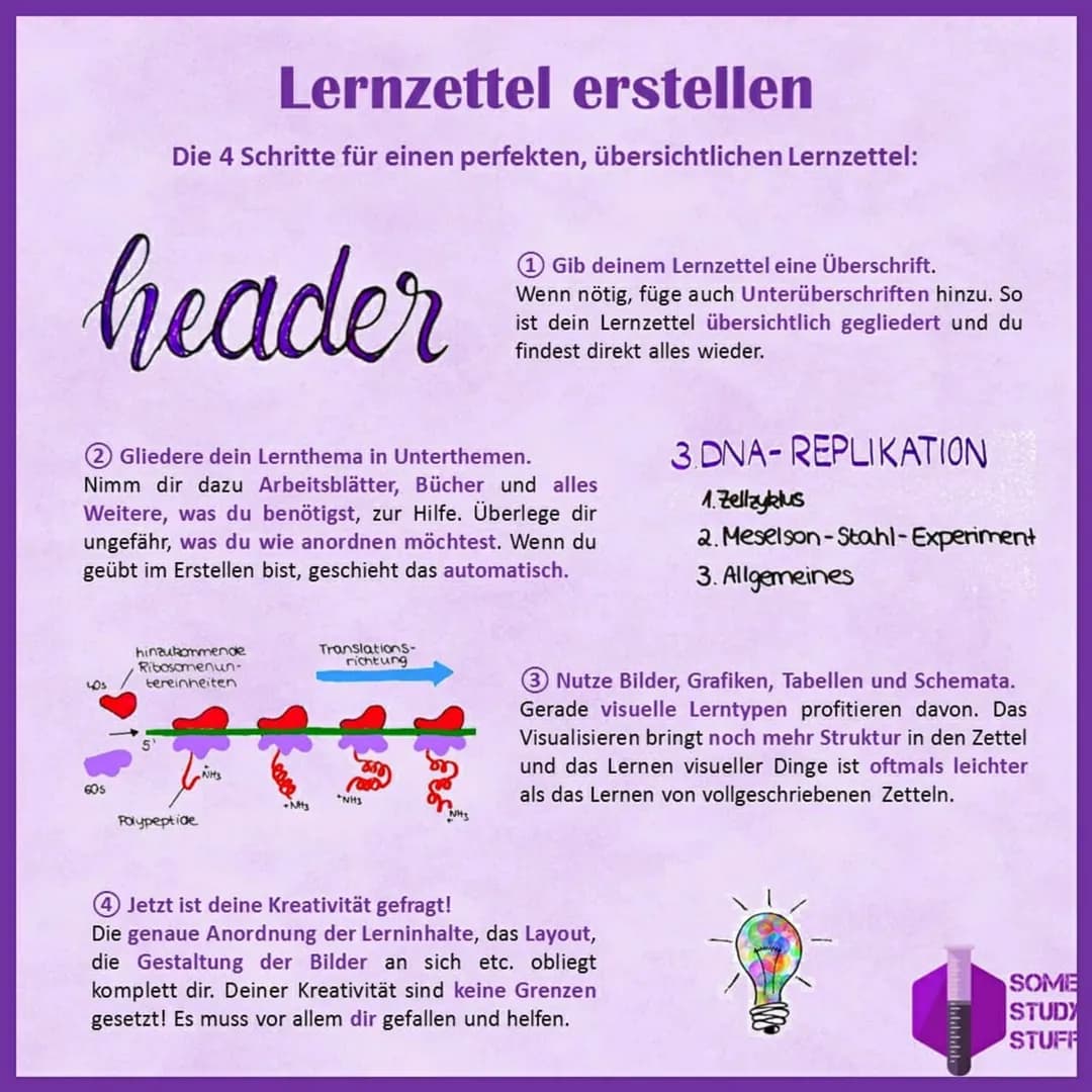 header
Lernzettel erstellen
Die 4 Schritte für einen perfekten, übersichtlichen Lernzettel:
405
2 Gliedere dein Lernthema in Unterthemen.
Ni