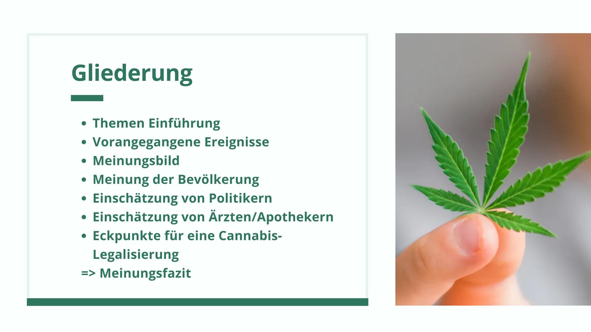 GFS VON LILLY OTERO
Cannabis Legalisierung
GK - Frau Wiatrowski - 11.01.2023 Gliederung
• Themen Einführung
• Vorangegangene Ereignisse
Mein