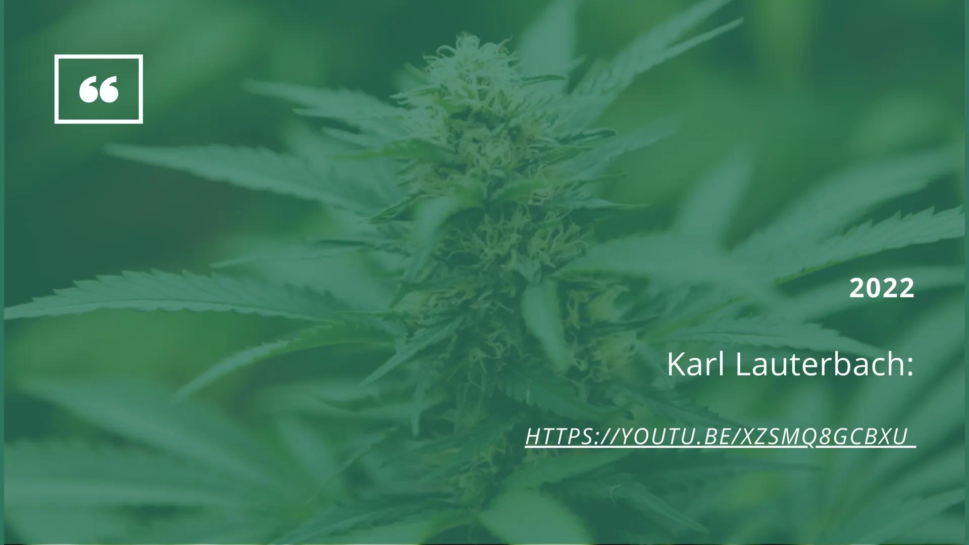 GFS VON LILLY OTERO
Cannabis Legalisierung
GK - Frau Wiatrowski - 11.01.2023 Gliederung
• Themen Einführung
• Vorangegangene Ereignisse
Mein