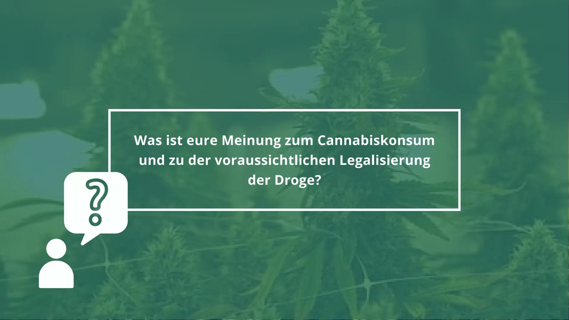 GFS VON LILLY OTERO
Cannabis Legalisierung
GK - Frau Wiatrowski - 11.01.2023 Gliederung
• Themen Einführung
• Vorangegangene Ereignisse
Mein