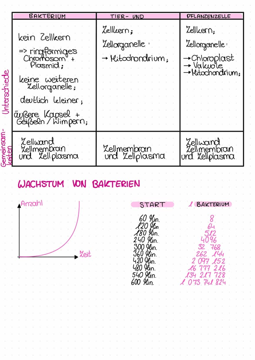 VERLAUF
Bio-Test
KRANKHEITSERREGER
von Infektionskrankheiten
Infektion Inkubations-zeit Krankheitsphase mit Symptomen
→Abwehrreaktion. Genes
