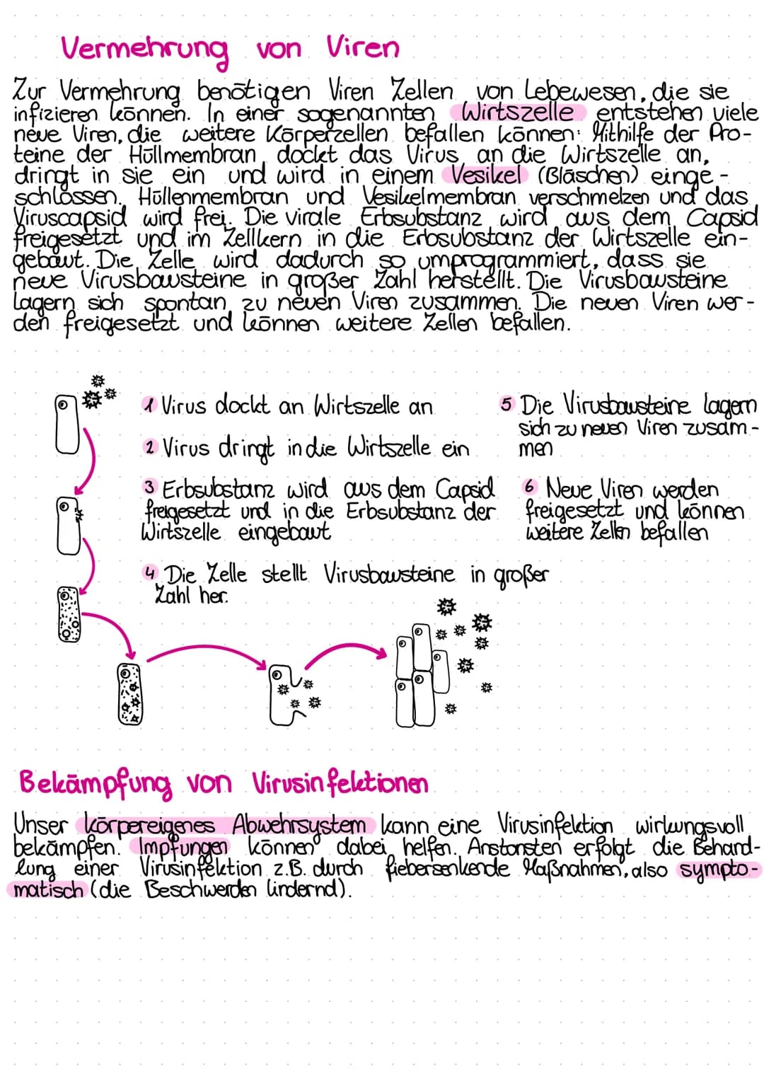 VERLAUF
Bio-Test
KRANKHEITSERREGER
von Infektionskrankheiten
Infektion Inkubations-zeit Krankheitsphase mit Symptomen
→Abwehrreaktion. Genes