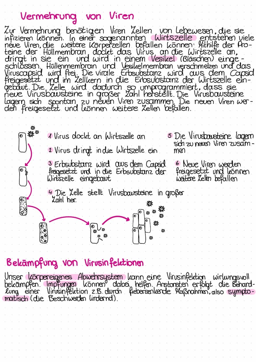 VERLAUF
Bio-Test
KRANKHEITSERREGER
von Infektionskrankheiten
Infektion Inkubations-zeit Krankheitsphase mit Symptomen
→Abwehrreaktion. Genes