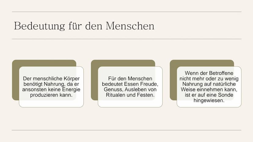 Sondennahrung
bereitstellen und
diese bei
bestehendem
Zugang
verabreichen
HANDLUNGSKOMPETENZ D.5
LIA SERAINA BÄNI Inhaltsverzeichnis
●
●
●
●