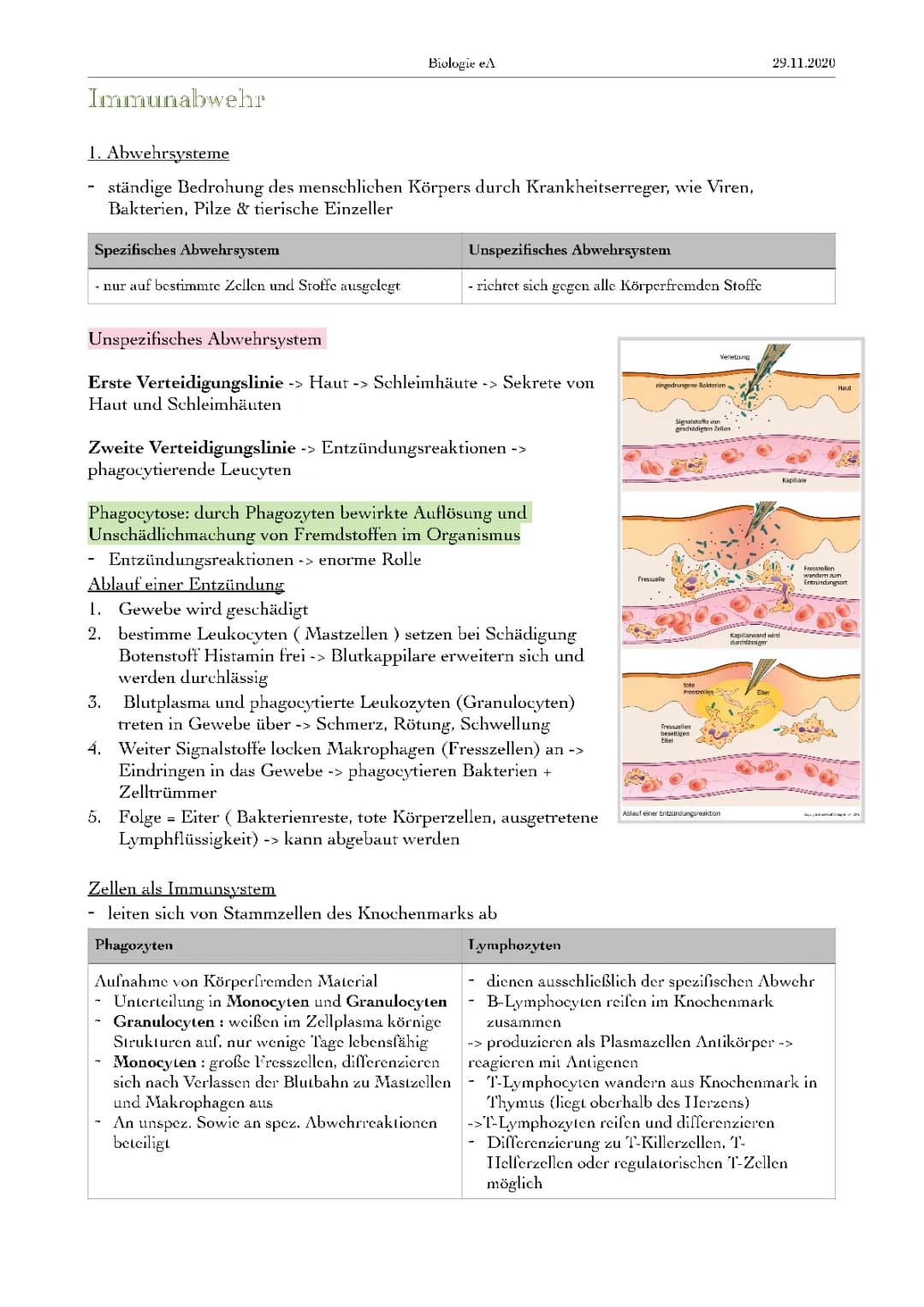 Immunbiologie