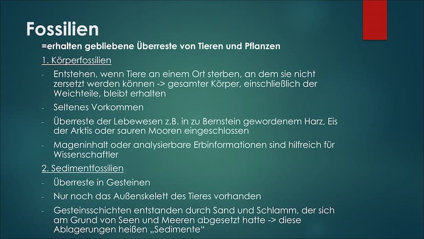 Fossilien &
Brückentiere Themen
Fossilienarten
Arten von Sedimentfossilien
► Bedeutung für die Wissenschaft
► Altersbestimmung von Fossilien