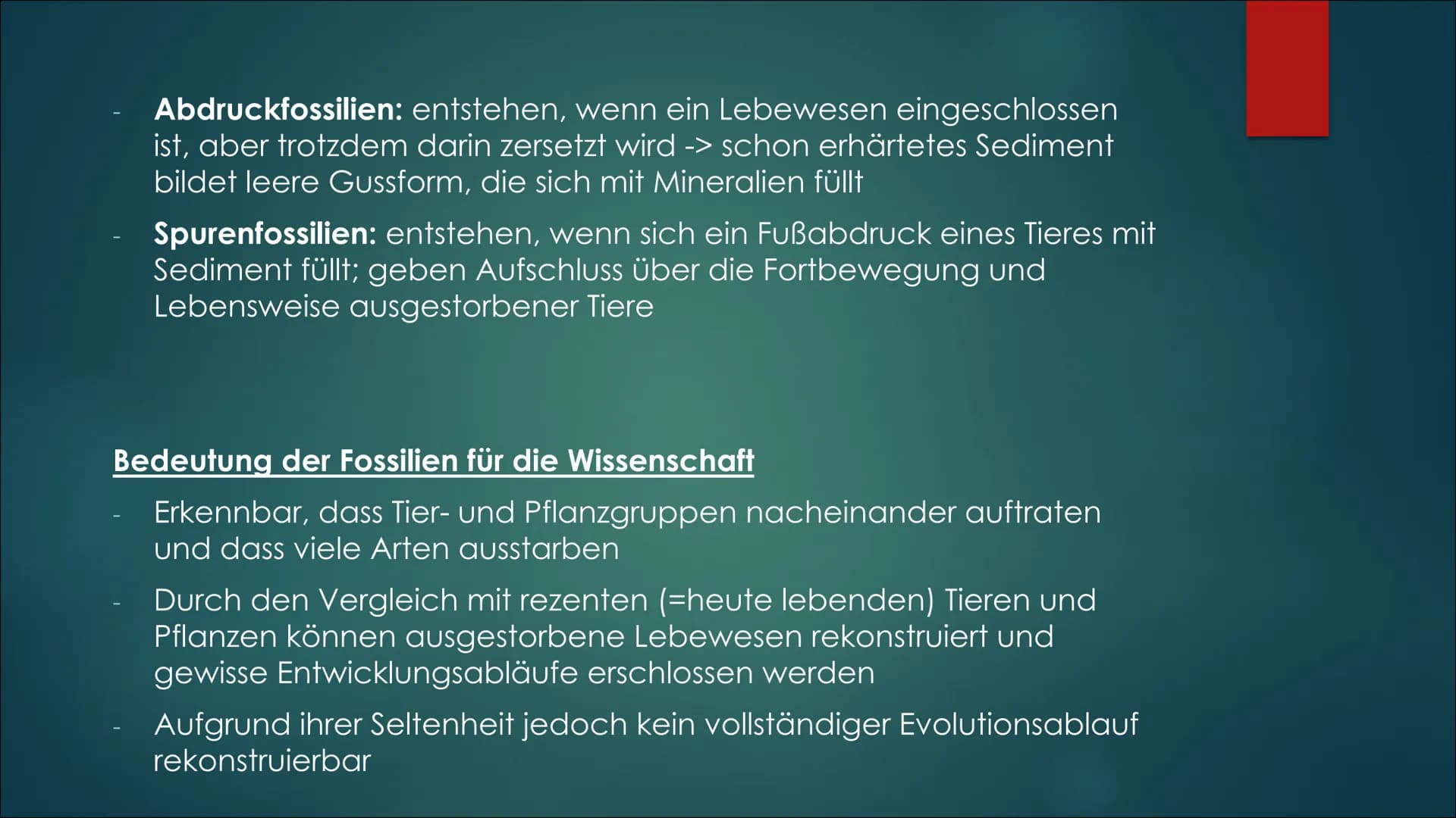 Fossilien &
Brückentiere Themen
Fossilienarten
Arten von Sedimentfossilien
► Bedeutung für die Wissenschaft
► Altersbestimmung von Fossilien