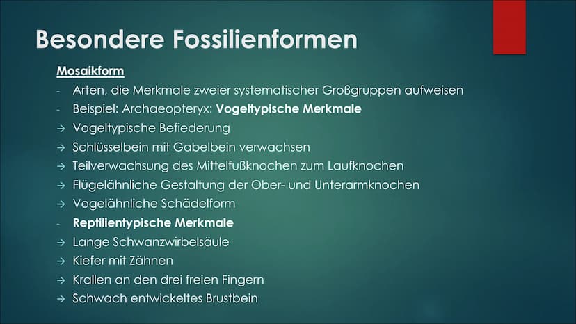 Fossilien &
Brückentiere Themen
Fossilienarten
Arten von Sedimentfossilien
► Bedeutung für die Wissenschaft
► Altersbestimmung von Fossilien