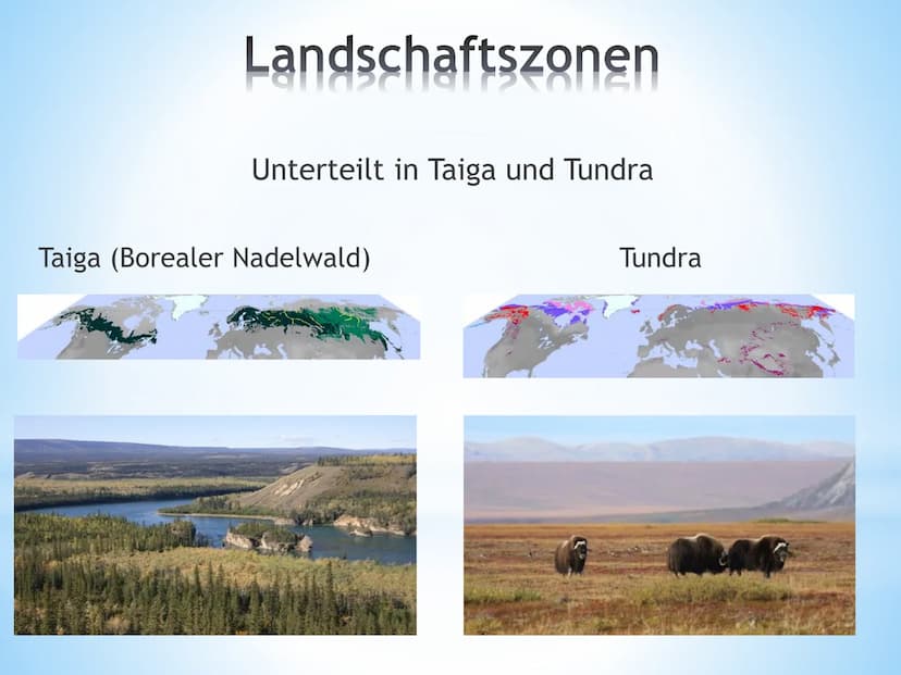 Florian Britsch
GFS 2016 EK
1. Länder in der kalten Zone:
2. Klima:
Nordhalbkugel:
Anpassung von Pflanzen und Tieren
an die kalte Zone
Alask