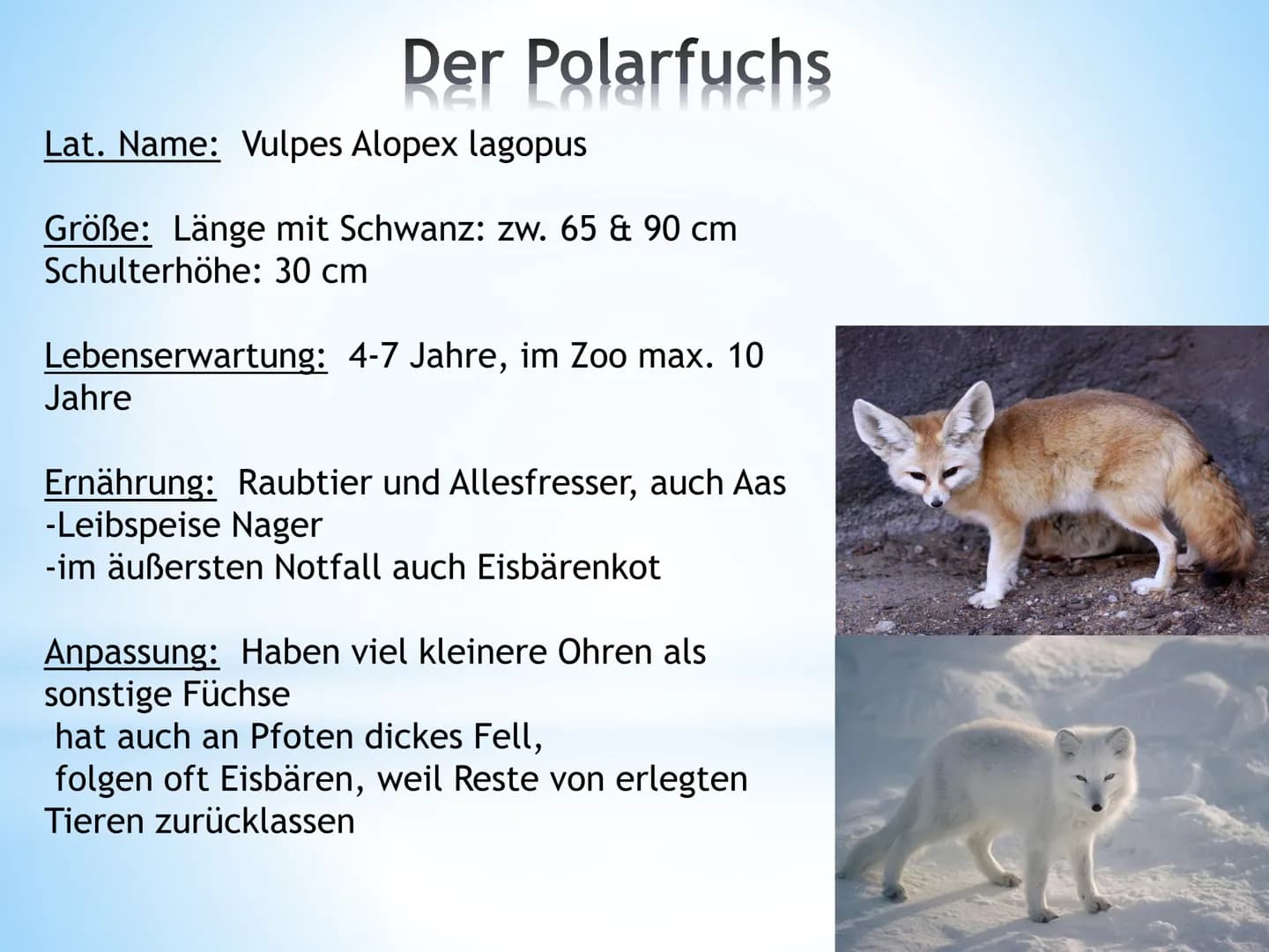 Florian Britsch
GFS 2016 EK
1. Länder in der kalten Zone:
2. Klima:
Nordhalbkugel:
Anpassung von Pflanzen und Tieren
an die kalte Zone
Alask