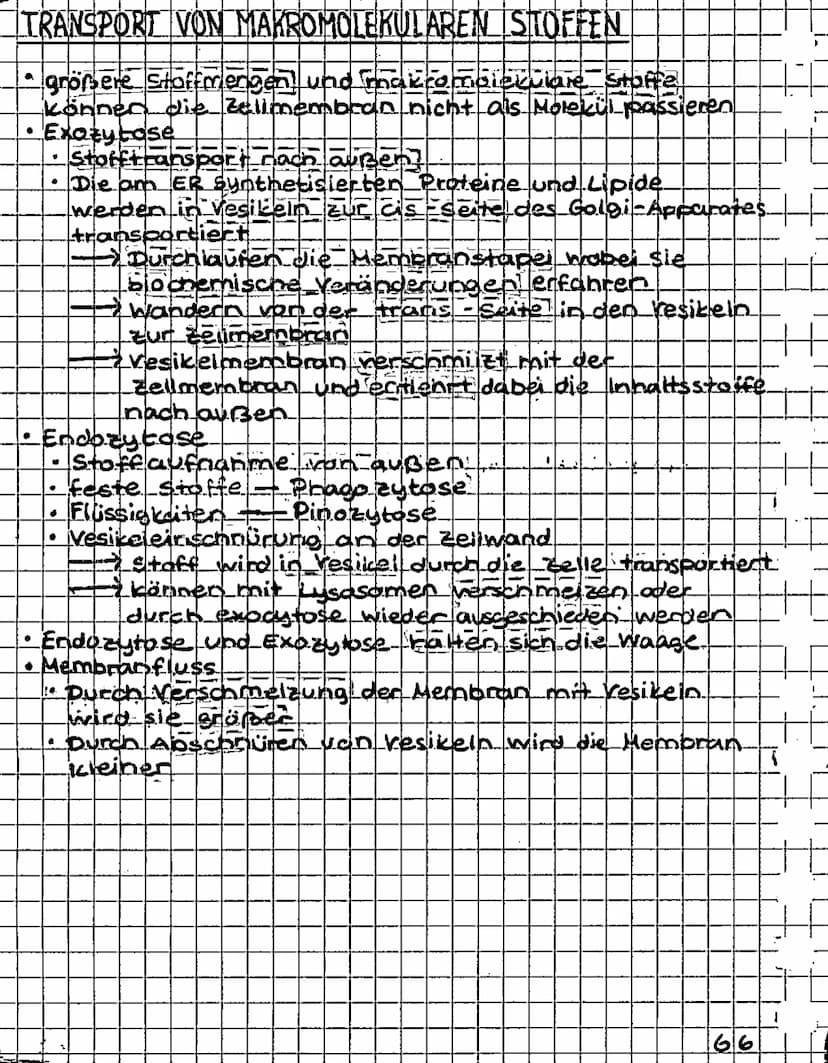 ++
+
H
3
BIOLOGIE KLAUSUR 2 05.12.2016
ISYSTEME
.
Offenes System
-Stoff
1
?
Geschlossenes System (Heizung)
K
**
Isoliertes Systern (isoler k