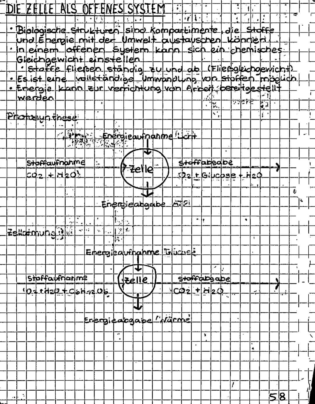 ++
+
H
3
BIOLOGIE KLAUSUR 2 05.12.2016
ISYSTEME
.
Offenes System
-Stoff
1
?
Geschlossenes System (Heizung)
K
**
Isoliertes Systern (isoler k
