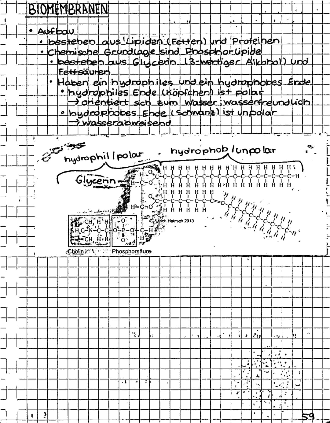 ++
+
H
3
BIOLOGIE KLAUSUR 2 05.12.2016
ISYSTEME
.
Offenes System
-Stoff
1
?
Geschlossenes System (Heizung)
K
**
Isoliertes Systern (isoler k