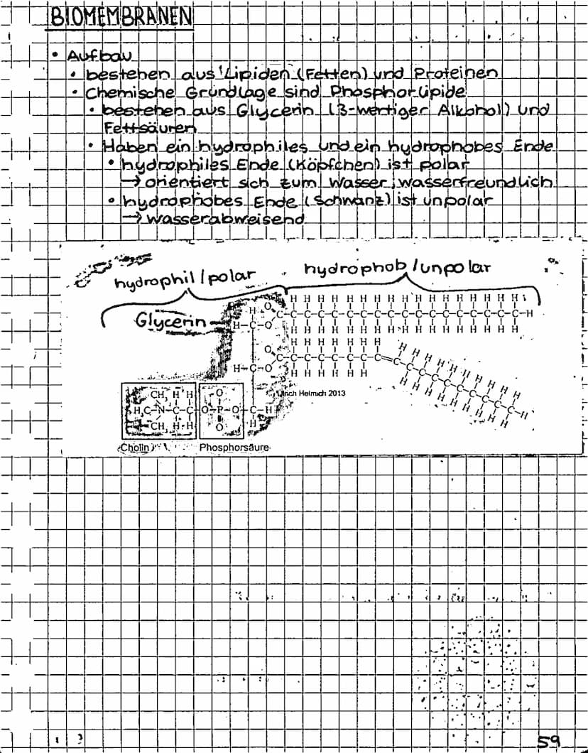 ++
+
H
3
BIOLOGIE KLAUSUR 2 05.12.2016
ISYSTEME
.
Offenes System
-Stoff
1
?
Geschlossenes System (Heizung)
K
**
Isoliertes Systern (isoler k