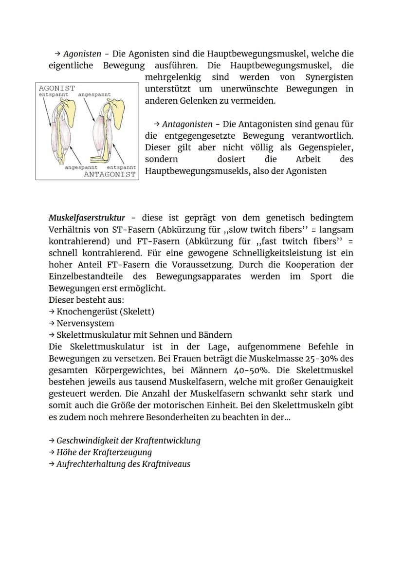 Konditionelle Fähigkeit
Schnelligkeit und Beweglichkeit Isilay
Konditionelle Fähigkeit: Schnelligkeit und Beweglichkeit
Präsentiert von: Sor