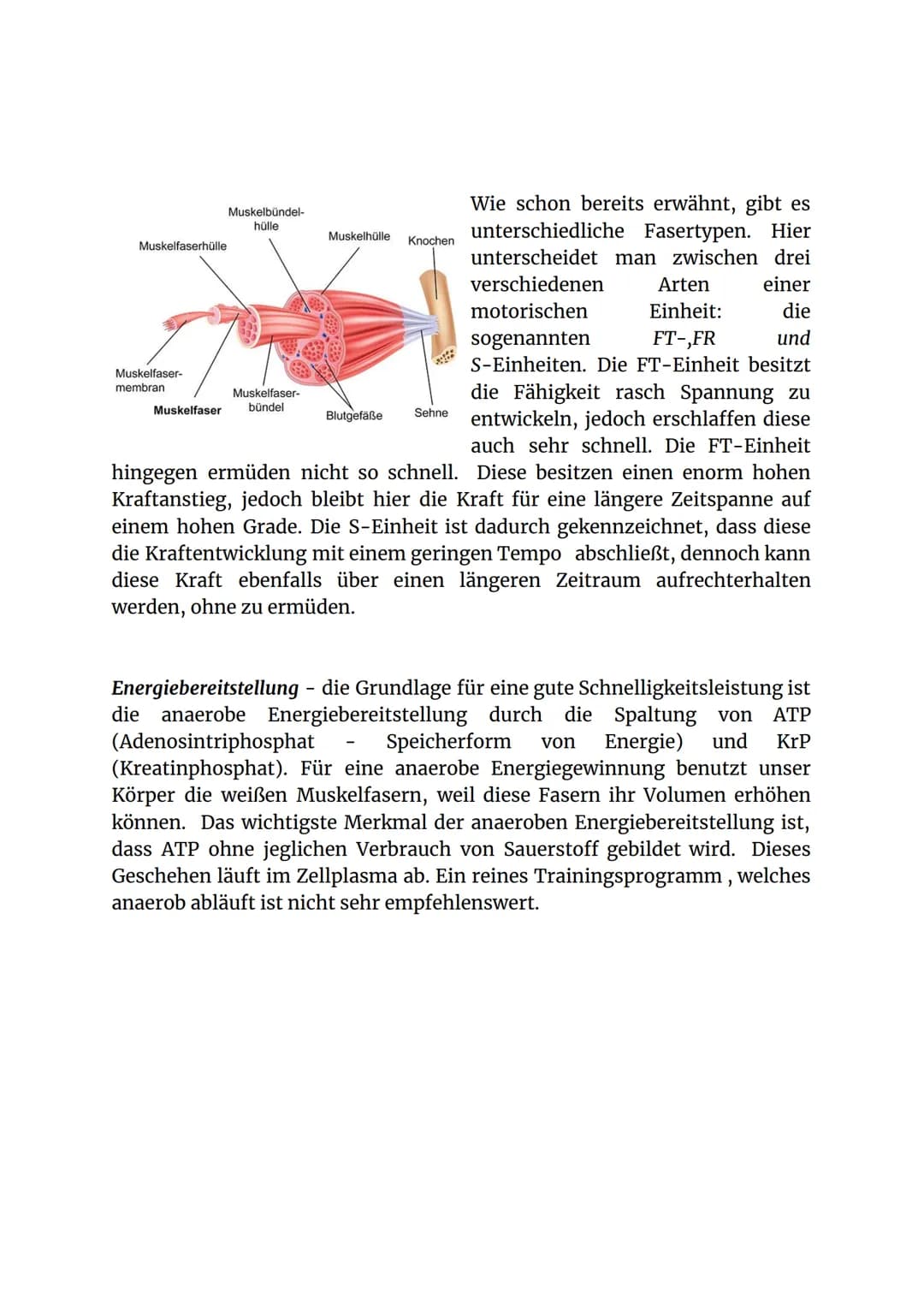 Konditionelle Fähigkeit
Schnelligkeit und Beweglichkeit Isilay
Konditionelle Fähigkeit: Schnelligkeit und Beweglichkeit
Präsentiert von: Sor