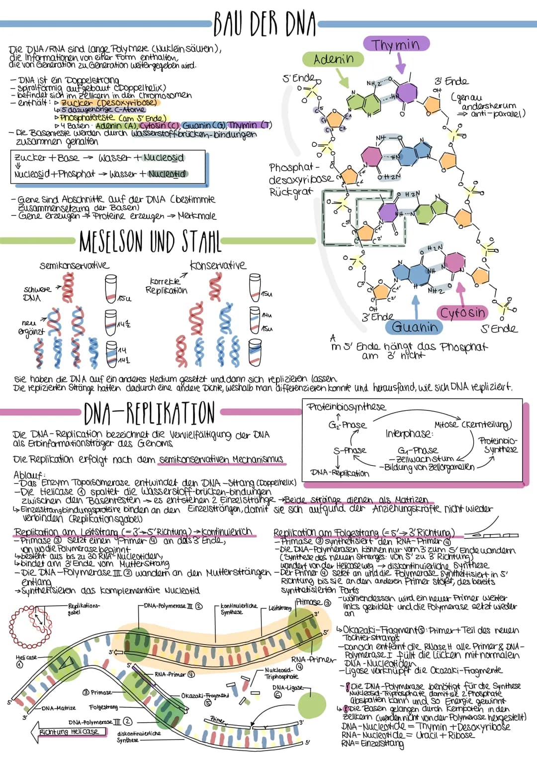 Die DNA/RNA sind lange Polymere (Nukleinsäuren),
die Informationen von einer Form enthalten,
die von Generation zu Generation weitergegeben 