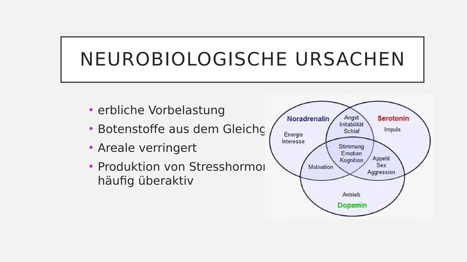 Seite | 1
Grundinformationen
Depressionen gehören zu den häufigsten Erkrankungen, trotzdem
werden sie leider sehr oft unterschätzt. Menschen