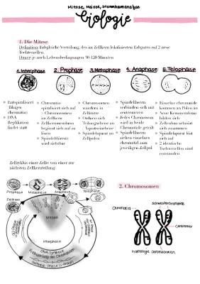 Know Biologie Mitose, Meiose, Stammbaumanalyse thumbnail