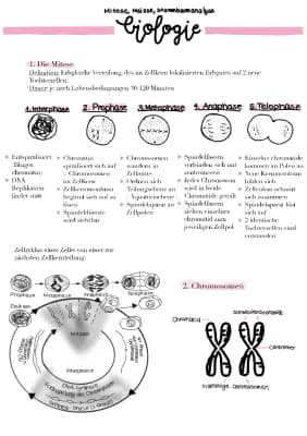 Know Biologie Mitose, Meiose, Stammbaumanalyse thumbnail