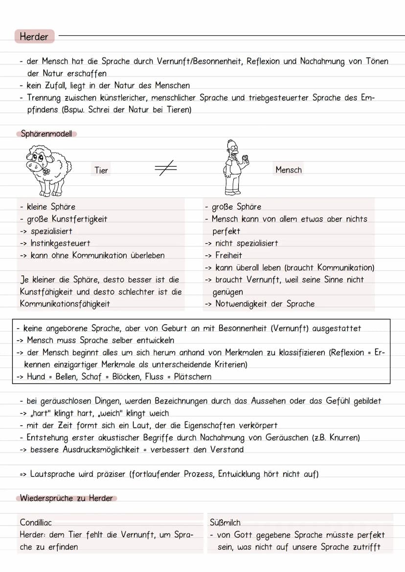 Sprachursprung
Interaktionismus
Spracherwerb ist das Ergebnis einer Interaktion zwischen kindlichen Entwicklungsprozessen und Ein-
flüssen v