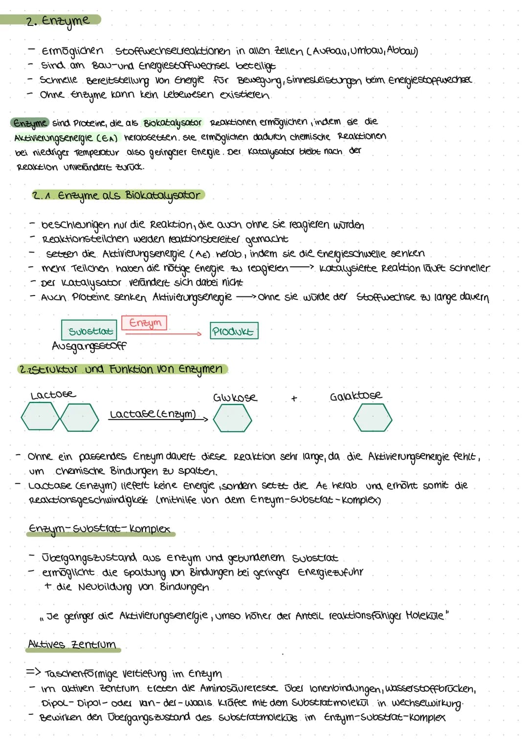 2. Enzyme
Ermöglichen Stoffwechselreaktionen
Sind am Bau-und Energiestoffwechsel
in allen Zellen (Aufbau, umbau, Abbau)
beteiligt
Schnelle B