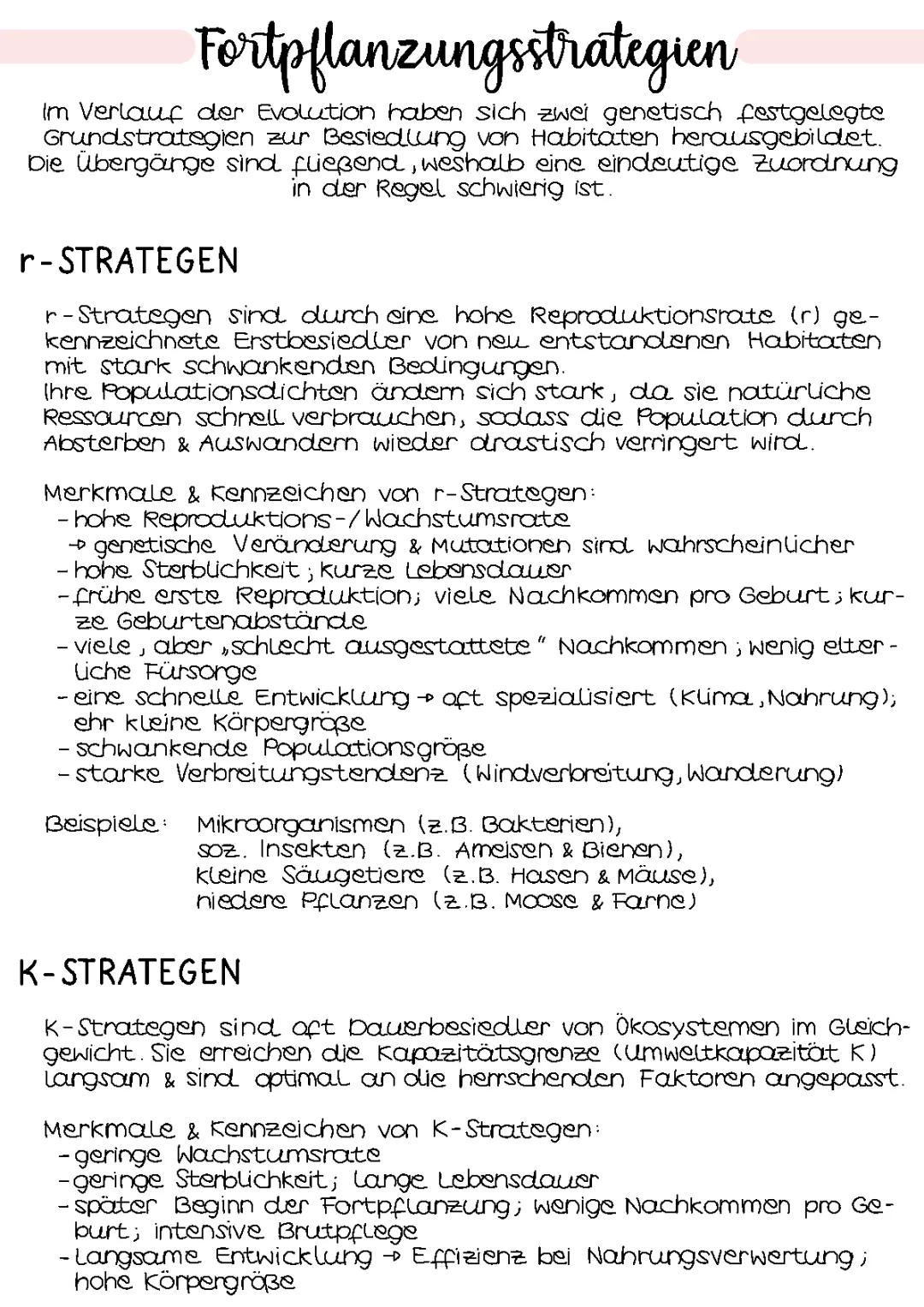 R und K-Strategen: Merkmale, Beispiele und Tabelle | K-Strategen vs. R-Strategen