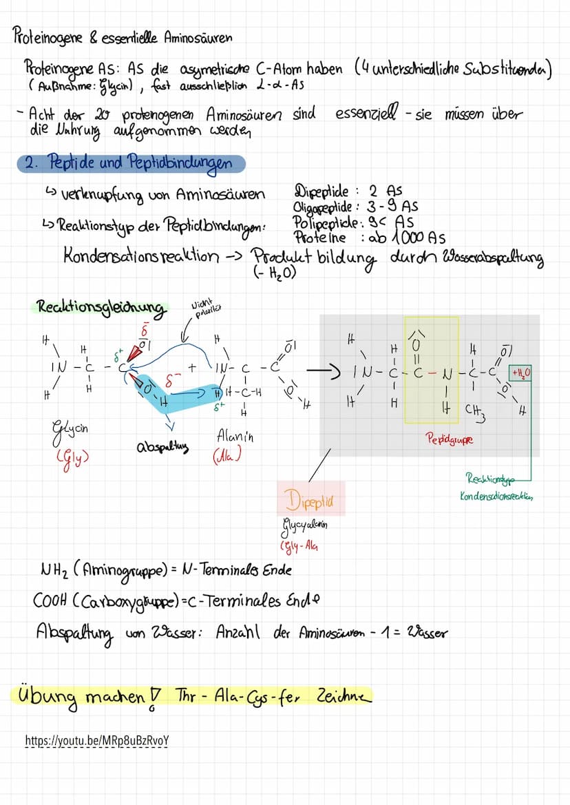 Klausur 2-Chemie-Eigene Zusammenfassung
1. Aminosäuren
1.1. Bau der Aminosäuren
Aminosäure Molekühl mit Aminogruppe & Carboxygruppe
Chiralit