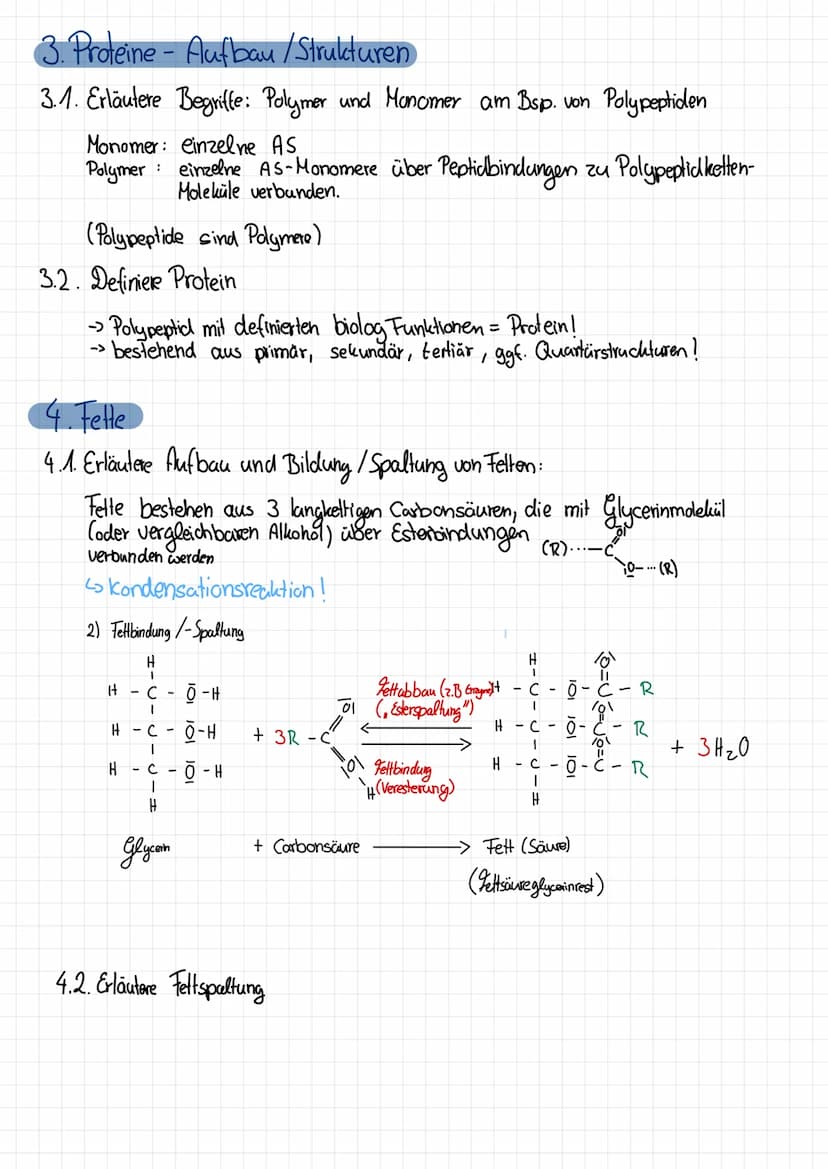 Klausur 2-Chemie-Eigene Zusammenfassung
1. Aminosäuren
1.1. Bau der Aminosäuren
Aminosäure Molekühl mit Aminogruppe & Carboxygruppe
Chiralit
