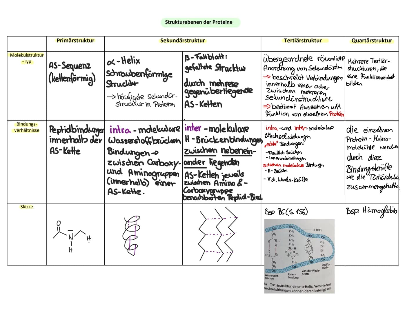 Klausur 2-Chemie-Eigene Zusammenfassung
1. Aminosäuren
1.1. Bau der Aminosäuren
Aminosäure Molekühl mit Aminogruppe & Carboxygruppe
Chiralit