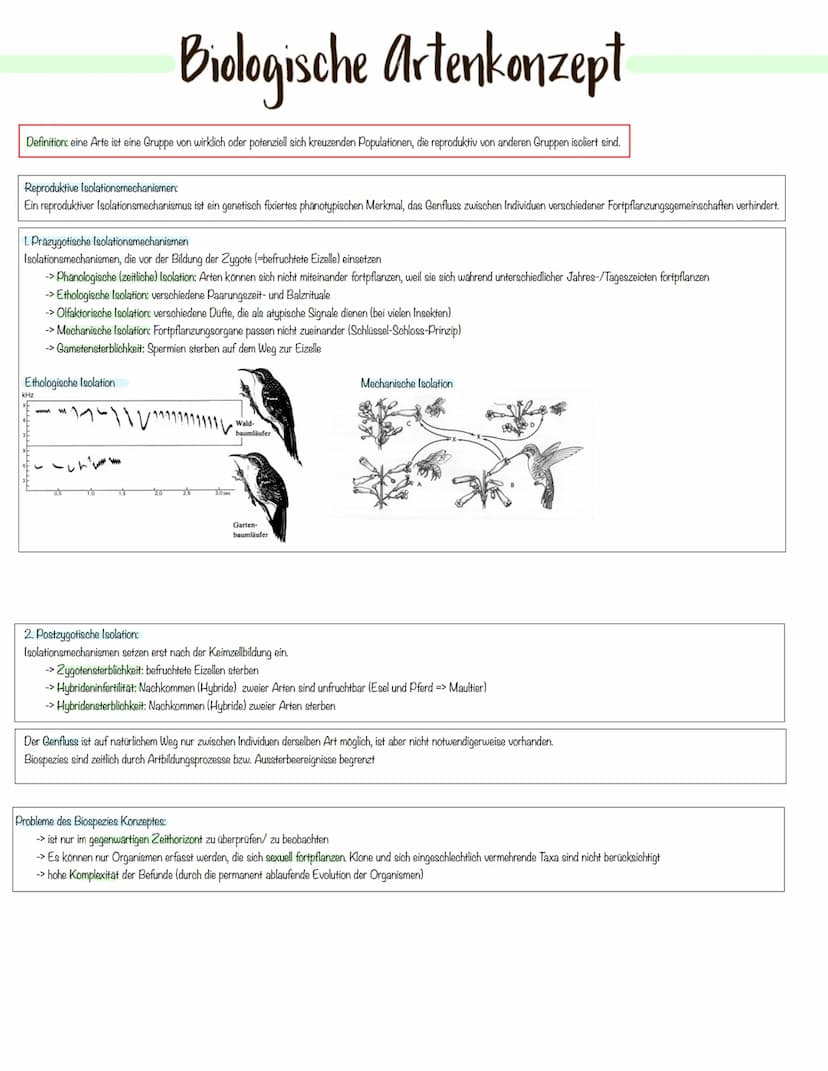 Evolution Variabilität und Vielfalt
Auf der Erde gibt es eine große ökologische Vielfalt.
Dabei beobachtet man, dass:
→> sich Organismen lei