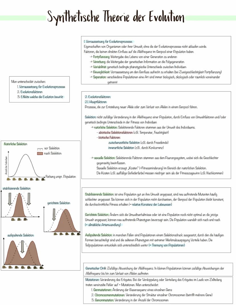 Evolution Variabilität und Vielfalt
Auf der Erde gibt es eine große ökologische Vielfalt.
Dabei beobachtet man, dass:
→> sich Organismen lei