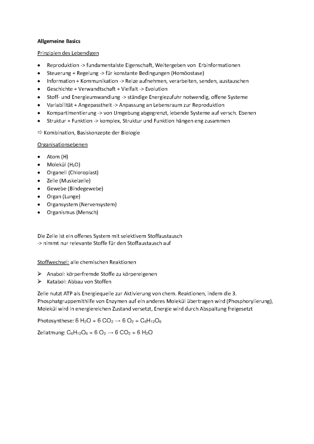 Abiturzusammenfassung