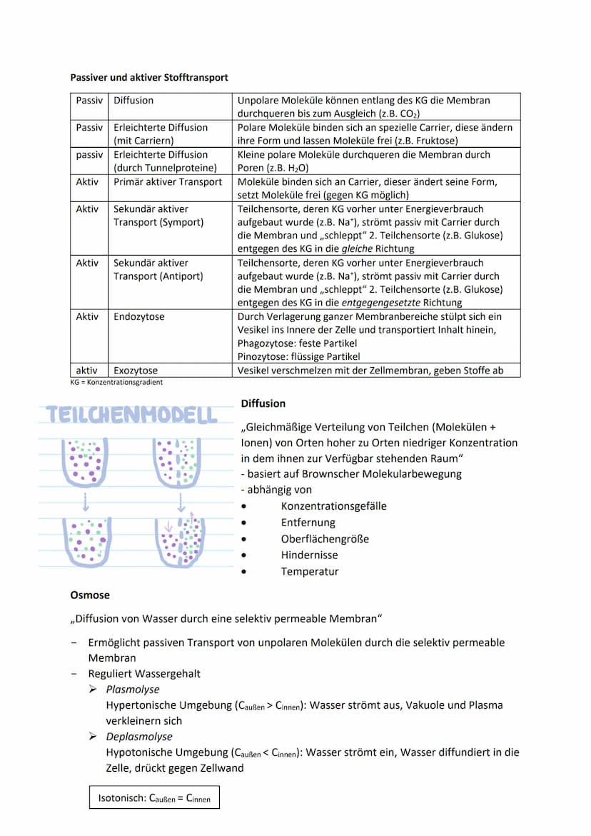 Allgemeine Basics
Prinzipien des Lebendigen
Reproduktion -> fundamentalste Eigenschaft, Weitergeben von Erbinformationen
Steuerung + Regelun