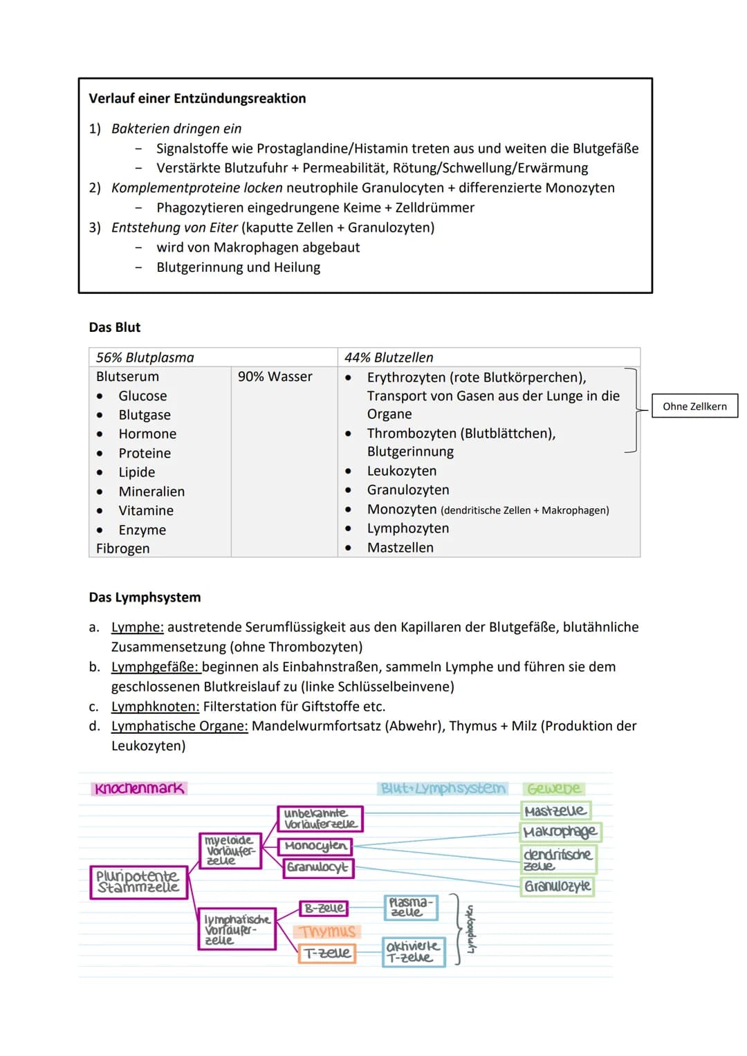 Allgemeine Basics
Prinzipien des Lebendigen
Reproduktion -> fundamentalste Eigenschaft, Weitergeben von Erbinformationen
Steuerung + Regelun