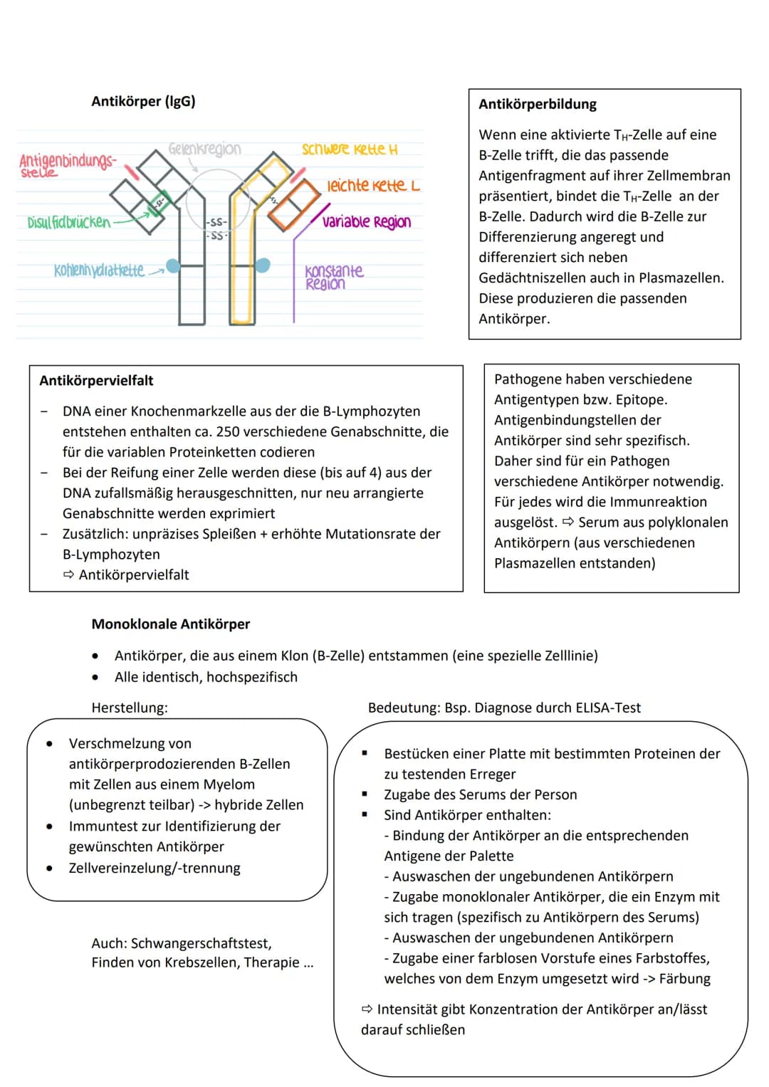Allgemeine Basics
Prinzipien des Lebendigen
Reproduktion -> fundamentalste Eigenschaft, Weitergeben von Erbinformationen
Steuerung + Regelun
