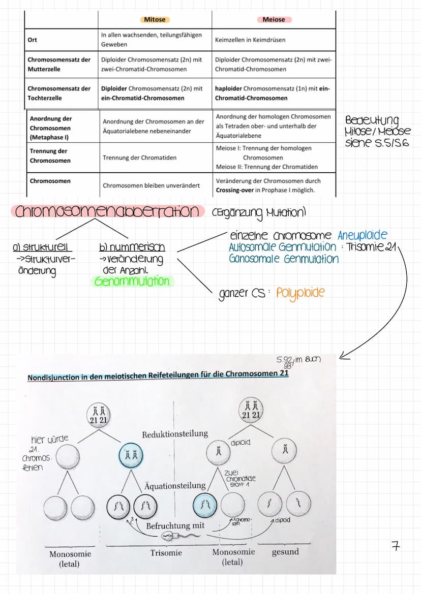 Biologie Klausur
1 Molekulargenetik
· Gen: DNA-Abschnitt mit Information zur Bildung eines Proteins (~Bauanweisung)
Genom: gesamtes Erbgut
A