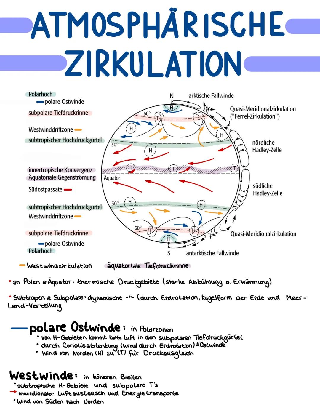 ATMOSPHÄRISCHE
ZIRKULATION
Polarhoch
-polare Ostwinde
subpolare Tiefdruckrinne
Westwinddriftzone -
subtropischer Hochdruckgürtel
innertropis