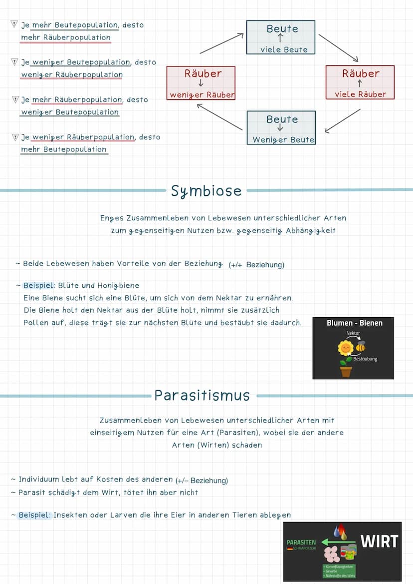 Wechselbeziehung zwischen Lebewesen
Beute
Räuber-Beute~Beziehung
Wechselseitige Anpassung zwischen Räuber und
~ Entwicklung von Jagdtechnike