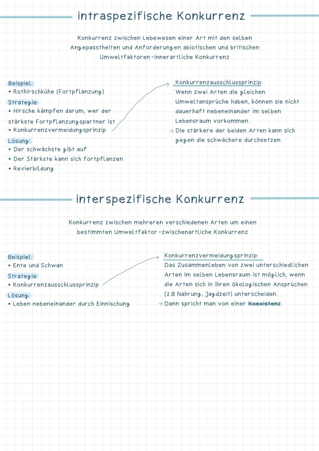 Wechselbeziehung zwischen Lebewesen
Beute
Räuber-Beute~Beziehung
Wechselseitige Anpassung zwischen Räuber und
~ Entwicklung von Jagdtechnike