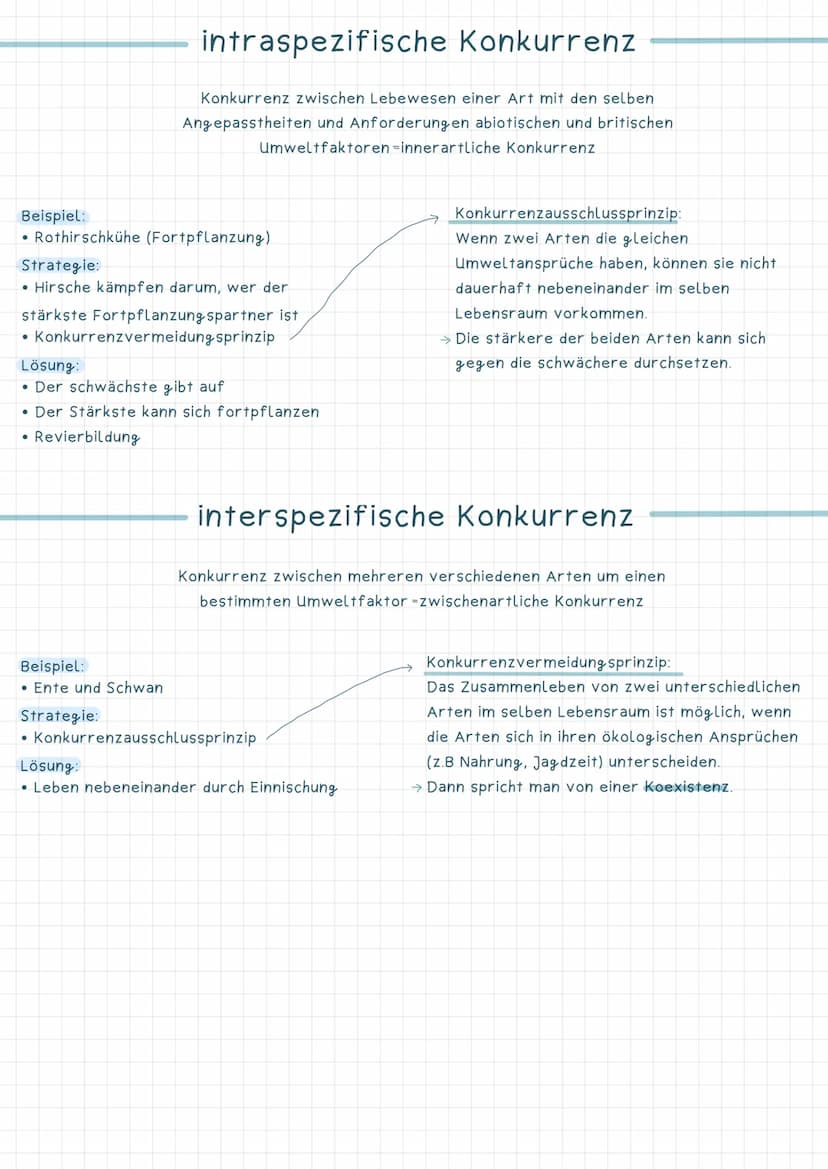 Wechselbeziehung zwischen Lebewesen
Beute
Räuber-Beute~Beziehung
Wechselseitige Anpassung zwischen Räuber und
~ Entwicklung von Jagdtechnike